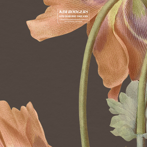 欧美极品❌❌❌❌❌爱豆aⅴ
